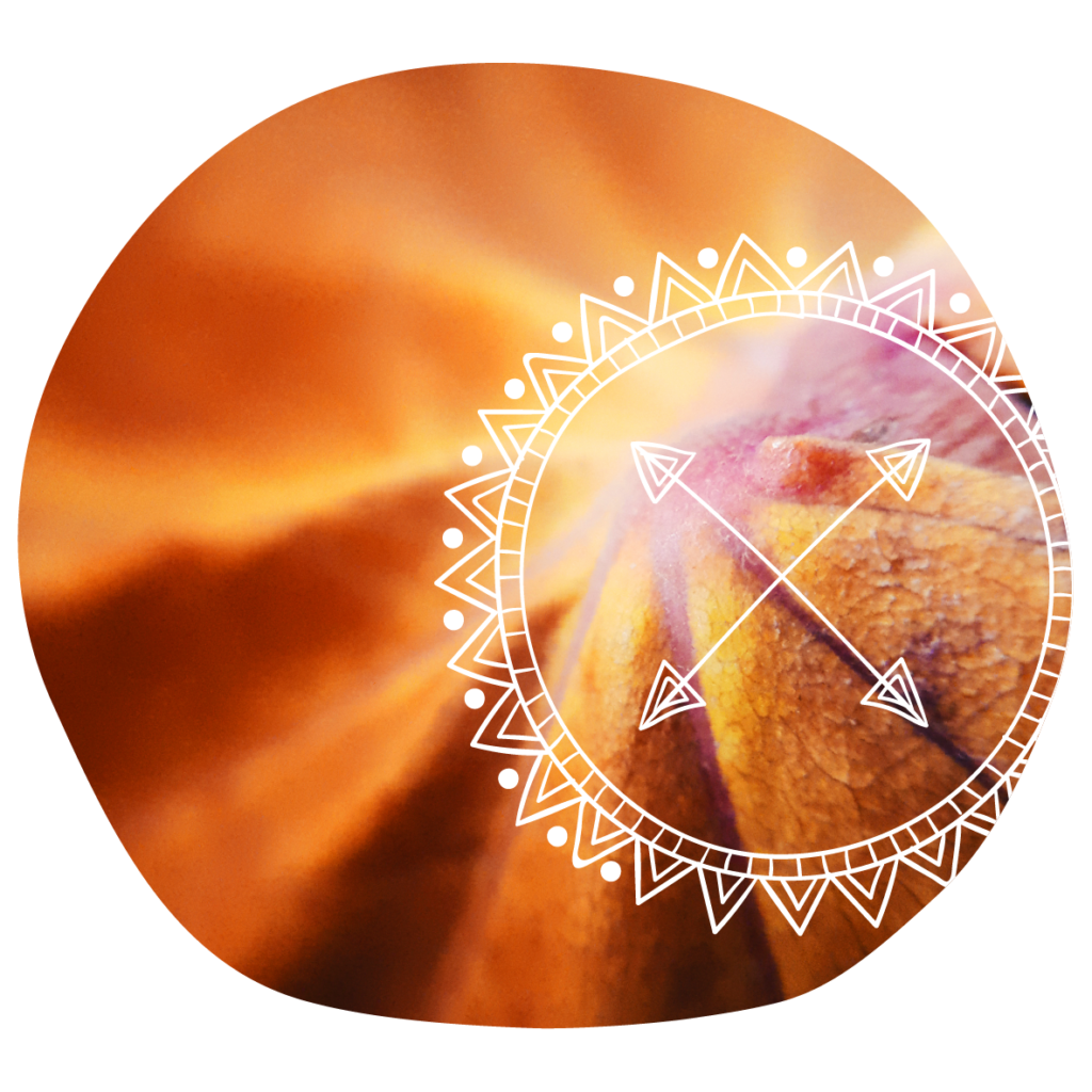 danser sa roue de médecine - à corps de coeur